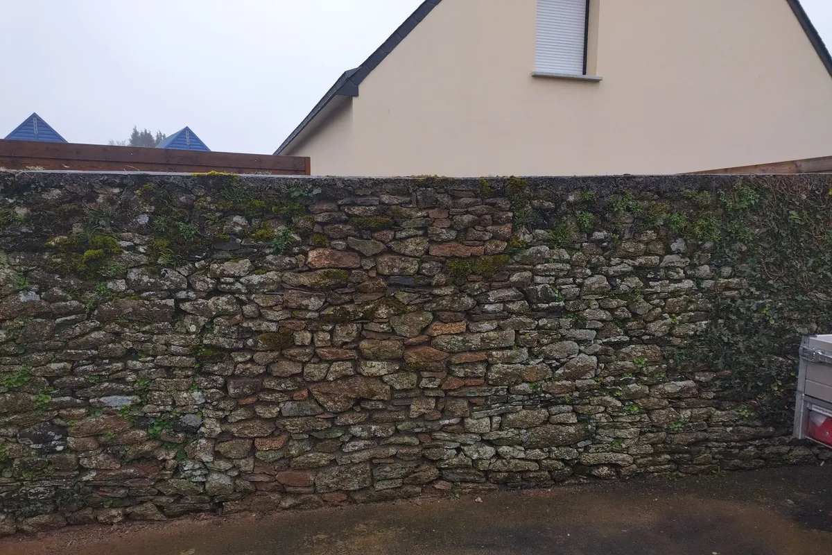 Mur de clôture en pierre aux joints lessivés, mousse et végétation dans les vides